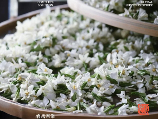 广东耐煮港式红茶多少钱一斤