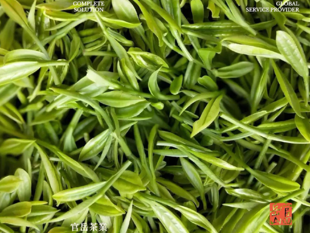 江苏商用港式红茶多少钱一斤,港式红茶