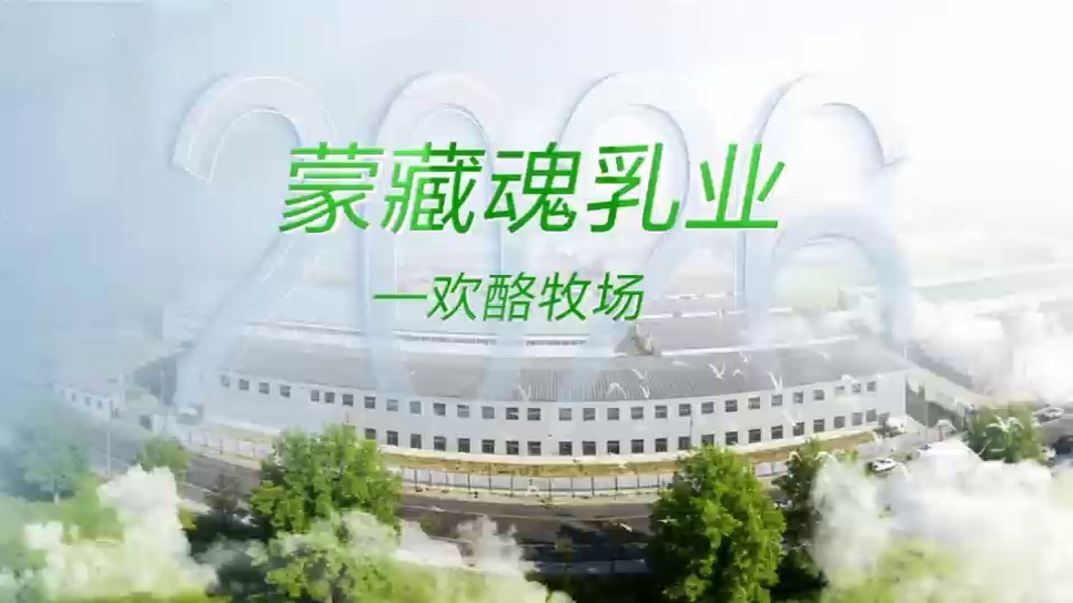 内蒙古早餐奶皮子零食小吃,奶皮子