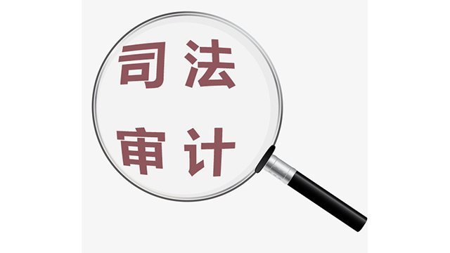 安全合规政府审计服务哪家靠谱,审计服务