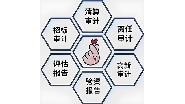 一站式高新技术审计服务如何选择,审计服务