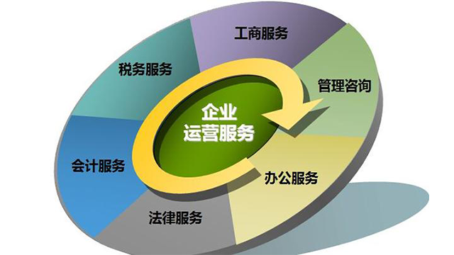 业财一体信息化建设服务咨询公司,财税服务