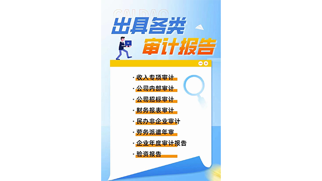 综合性税务稽查服务代办,审计服务