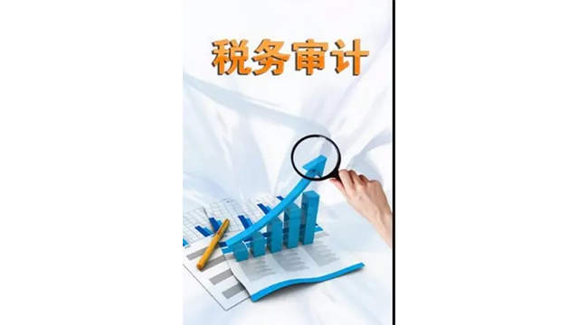 安全合规政府审计服务哪家靠谱,审计服务