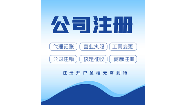 正规二帐合一服务咨询公司,财税服务