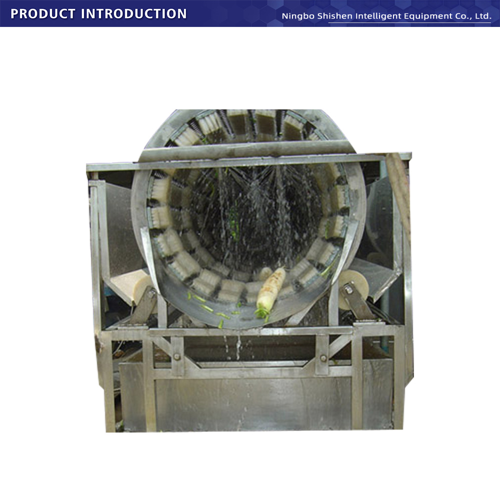 Radish Ginger Washing Machine | Food Cleaning Series for Root Vegetables