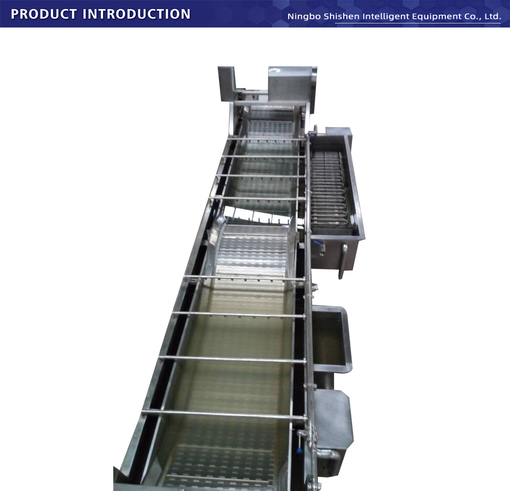 Dual-lane Cooling System for Fruit Vegetable Deep Processing | Shishen