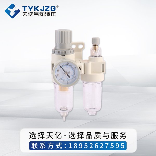 TAFC2000 油水過(guò)濾器二聯(lián)油水分離器