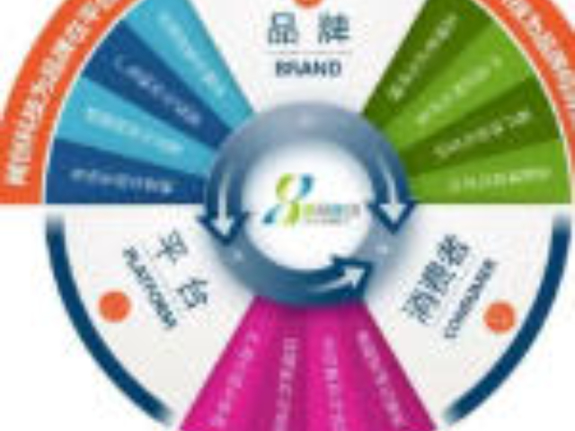 嘉定区优势品牌管理运营