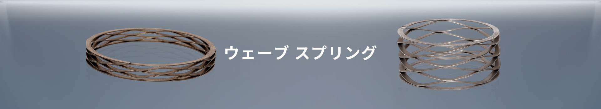 Spring Raeligh 産業用ベアリングのプリロード ウェーブ スプリング メーカー - Raleigh Spring