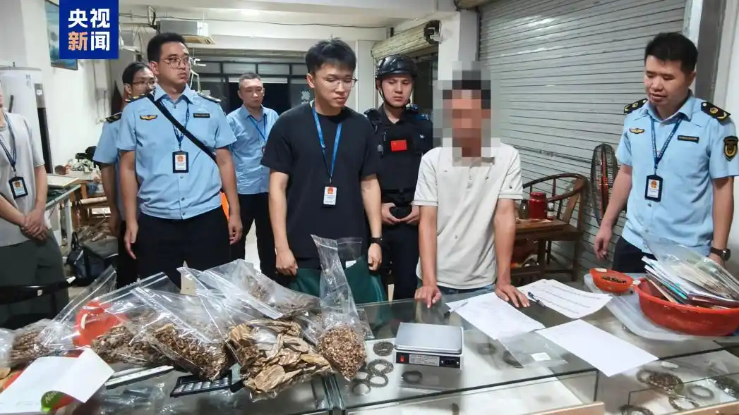 提供上海市精油銷毀行情上海半片云環保科技供應