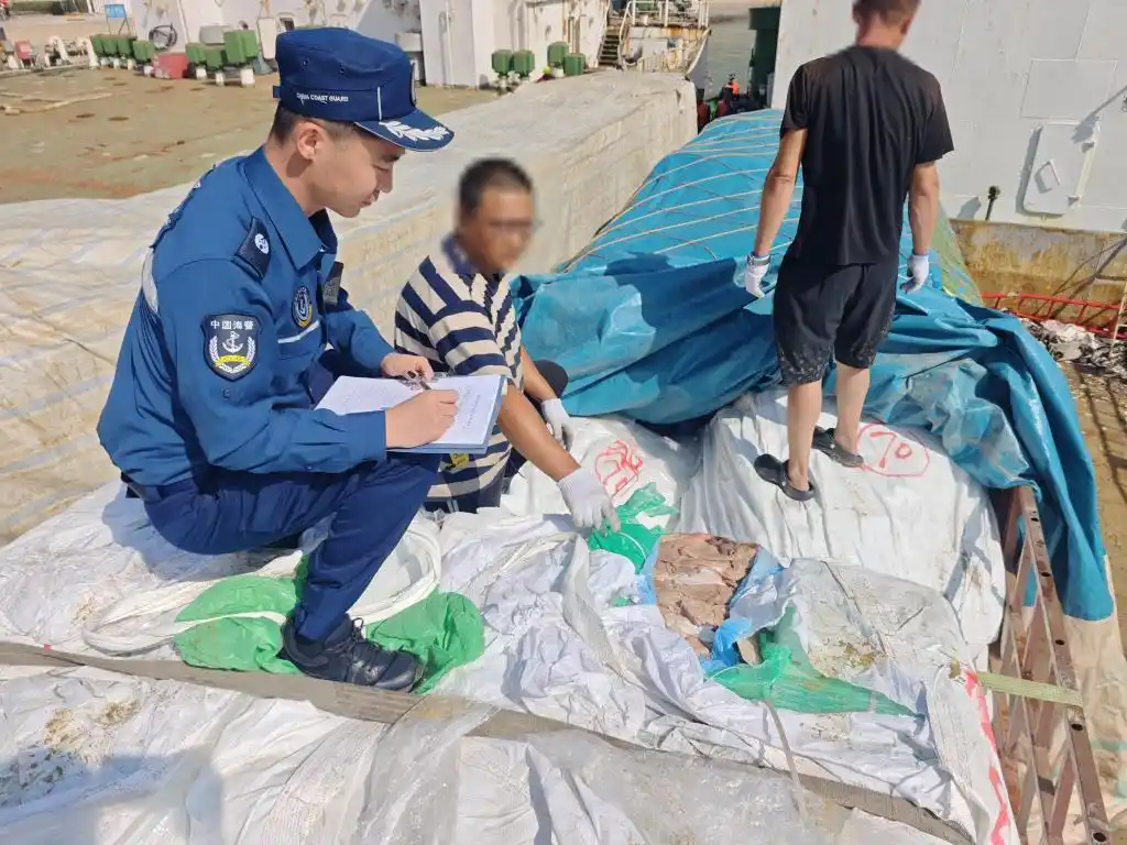 供應上海市冷凍牛肉銷毀批發上海半片云環保科技供應