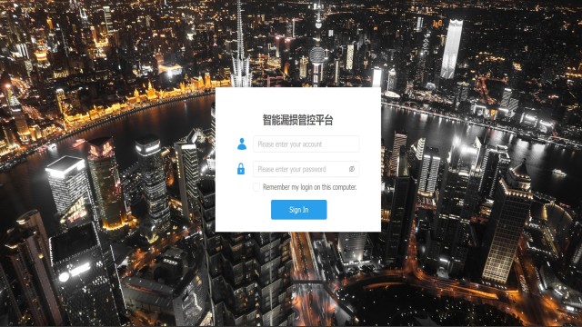 智能漏損檢測多少錢 服務(wù)至上 杭州雷甸科技供應(yīng)