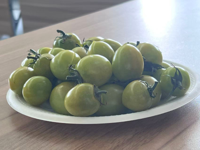 國產(chǎn)小番茄銷售公司,小番茄