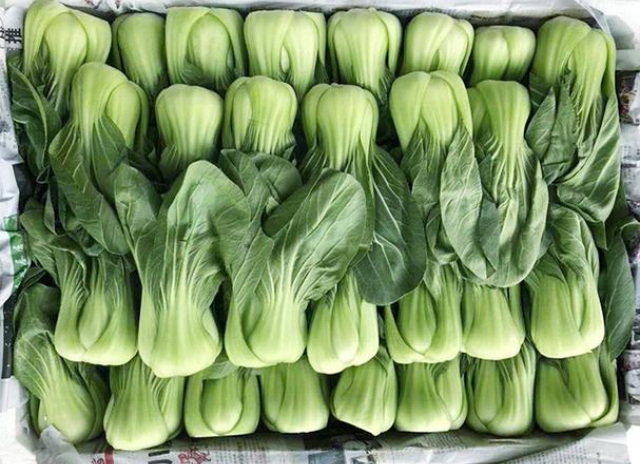 大自然青菜有害嗎