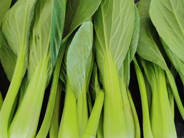 品牌青菜有哪些