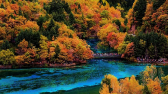 文化定制游網紅同款 值得信賴 四川省游遍天下國際旅行社供應