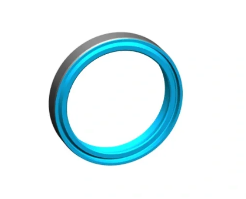 oil seal