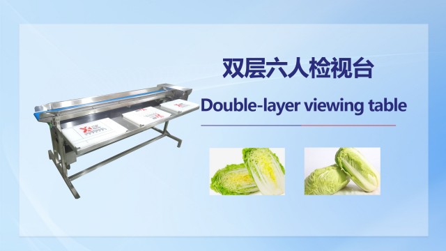 江西沙拉加工生產線價格 廣州市天燁食品機械供應