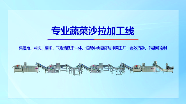 河南洗菜機(jī)多少錢一臺(tái)