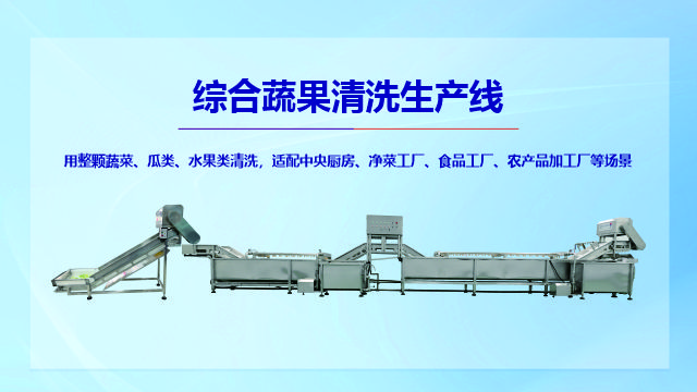 北京雙缸全自動(dòng)蔬菜脫水線怎么選