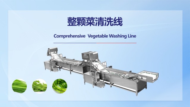 河南洗菜機(jī)多少錢一臺,凈菜加工流水線