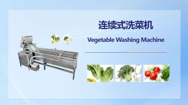 廣東連續(xù)式清洗去皮機(jī)