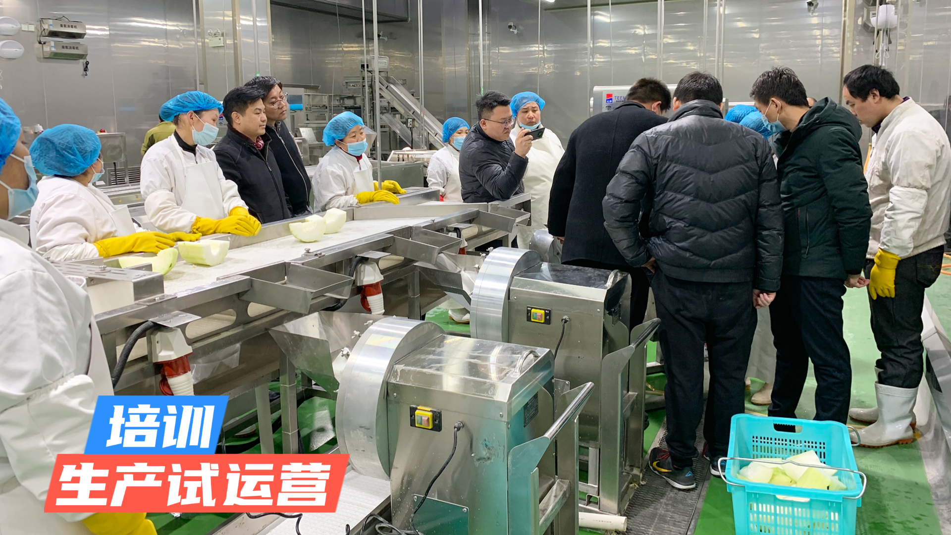 牛肉切丁标准化难题？天烨智能切菜机助力食材精细加工