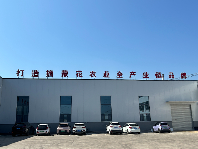 四川零添加摘蒙花面食灵魂,摘蒙花