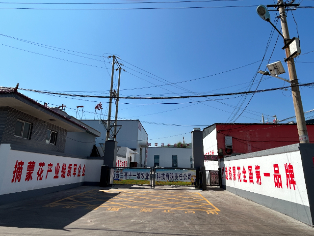 湖南吕梁特产摘蒙花葱油辣酱,摘蒙花葱油