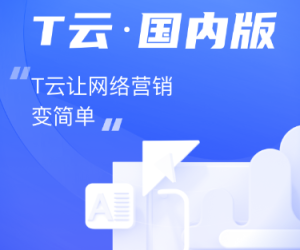 T云