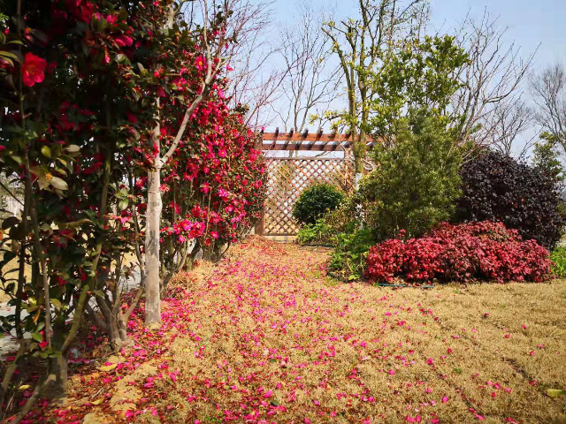 公園式公墓個(gè)性化服務(wù) 望仙安息園上海供應(yīng)