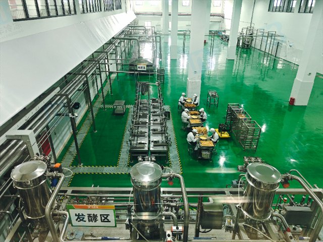 成都生物医药冻库安装公司,冷库