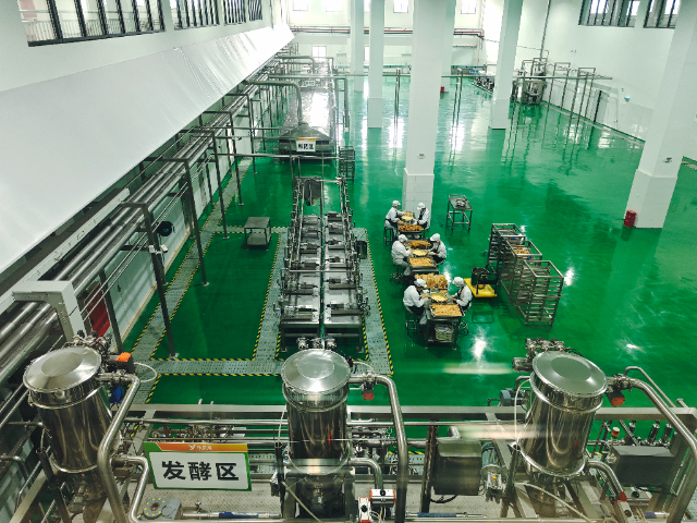 成都菌菇種植冷庫(kù) 歡迎來(lái)電 成都百年冷凍工程設(shè)備供應(yīng)