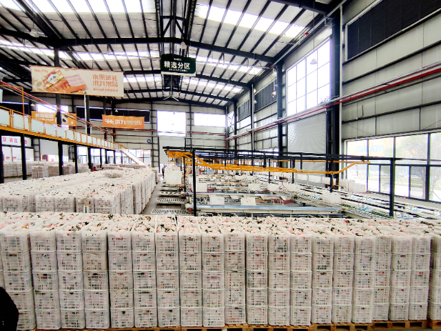 成都果蔬冷庫一站式服務(wù)機(jī)構(gòu) 推薦咨詢 成都百年冷凍工程設(shè)備供應(yīng)