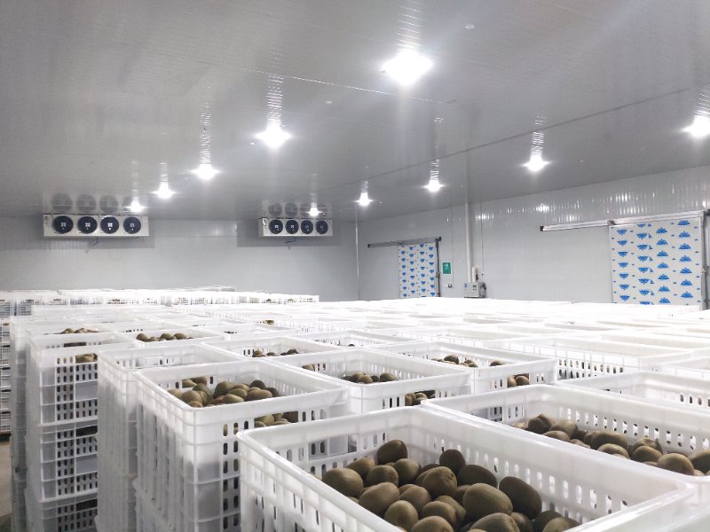 冷庫安裝：保障冷鏈系統高效運行的關鍵