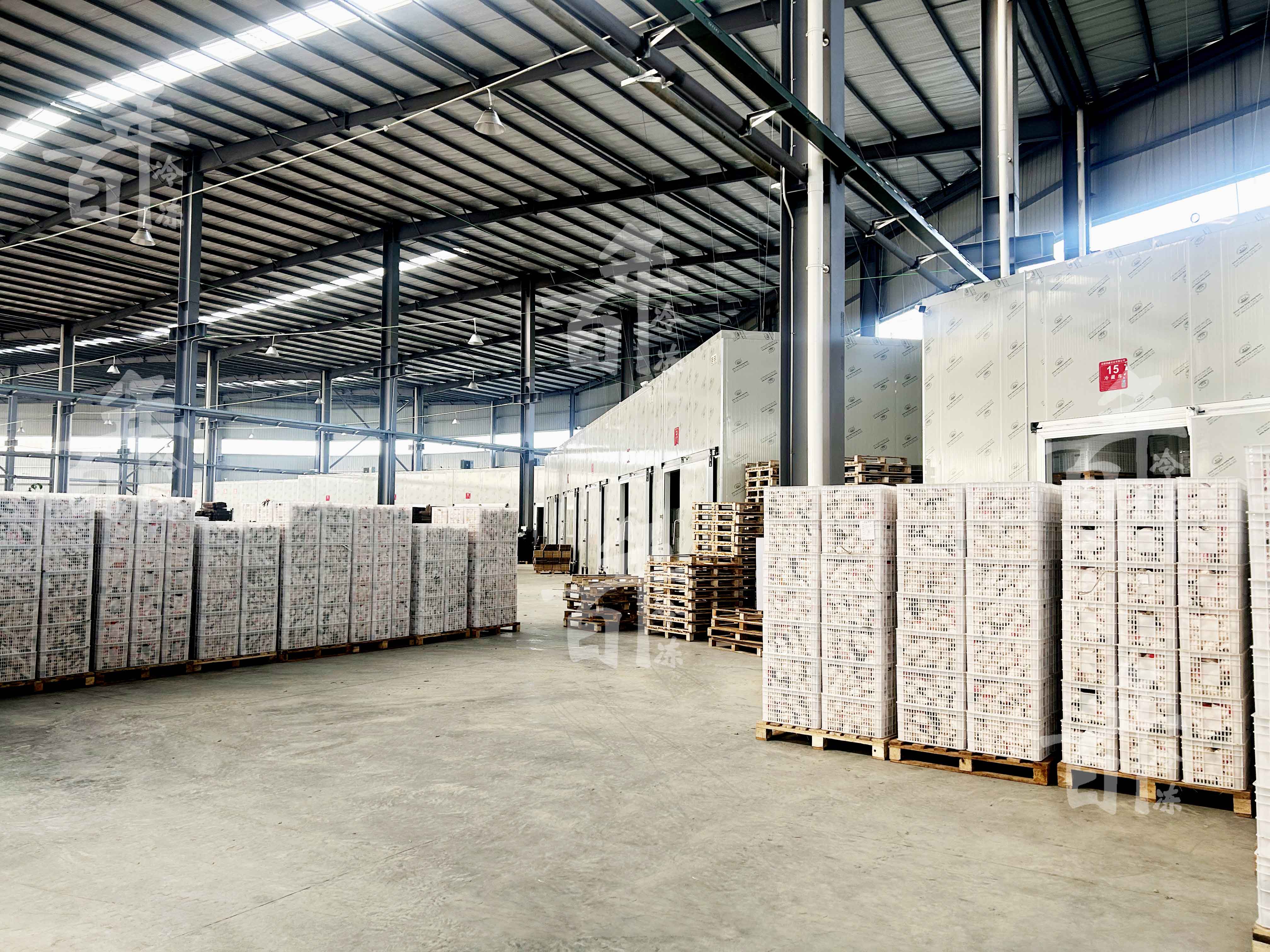 同樣存果蔬，為啥氣調(diào)庫(kù)能多賺 30%？揭秘冷藏界的 “黑科技