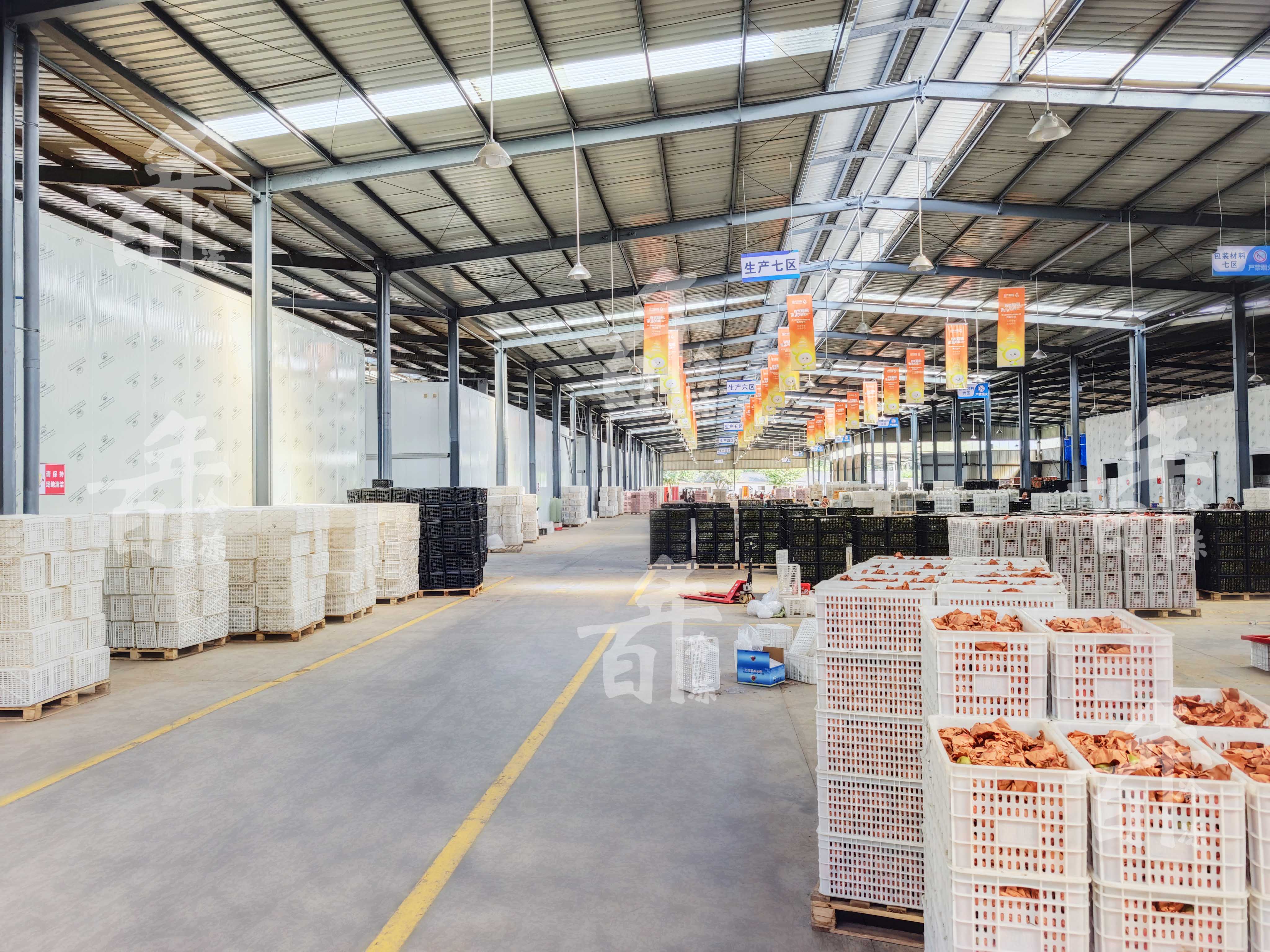 果蔬保鮮愁損耗？定制果蔬冷藏庫延長貨架期穩收益