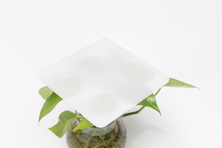 上海采光pc板雨棚 信息推薦 無(wú)錫耐力普新材料科技供應(yīng)