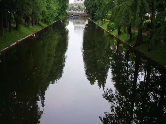 福建學校操場混凝土廠家 上海順巧生態(tài)環(huán)境工程供應(yīng)