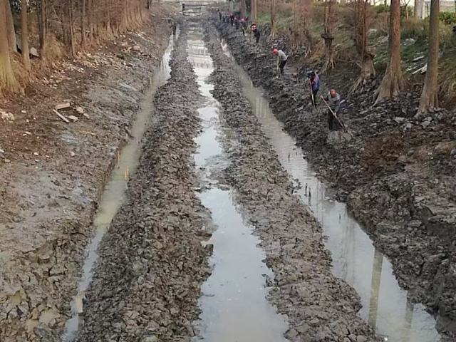 天津植被混凝土廠家 上海順巧生態(tài)環(huán)境工程供應