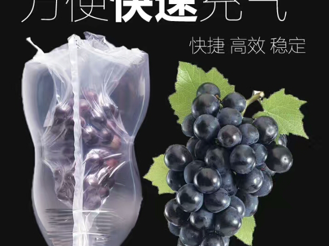浙江化妝品氣柱袋價(jià)格,氣柱袋
