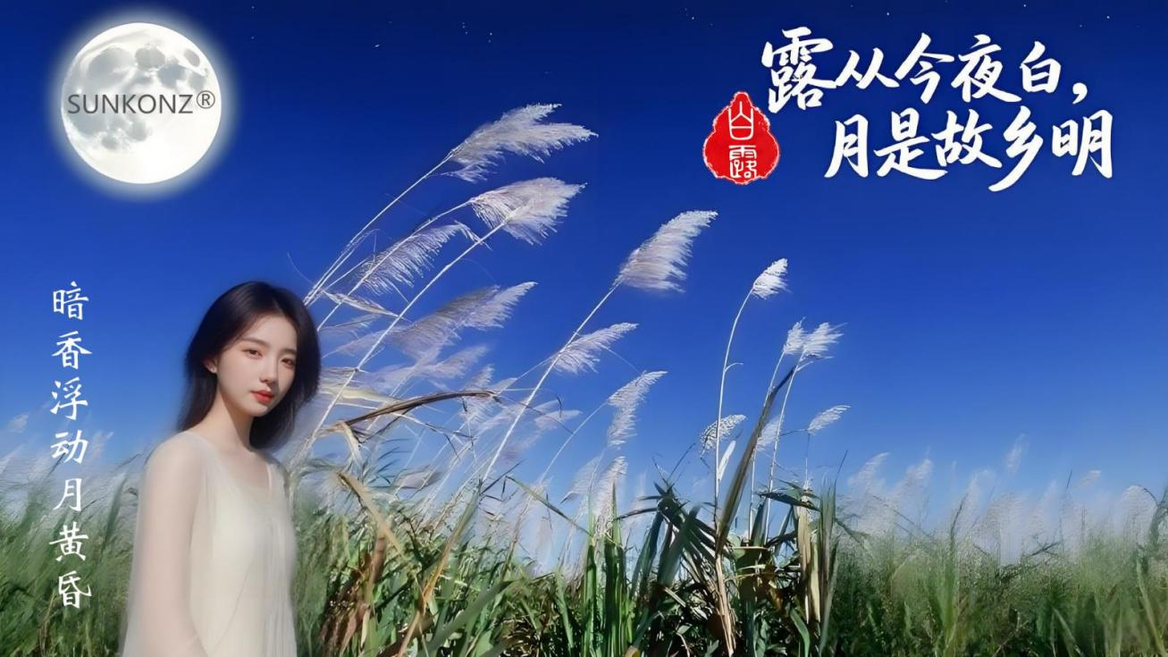 A8cef58946d633f928dd571d2ce15c52