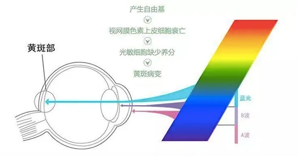 顯示屏的藍光標準測試