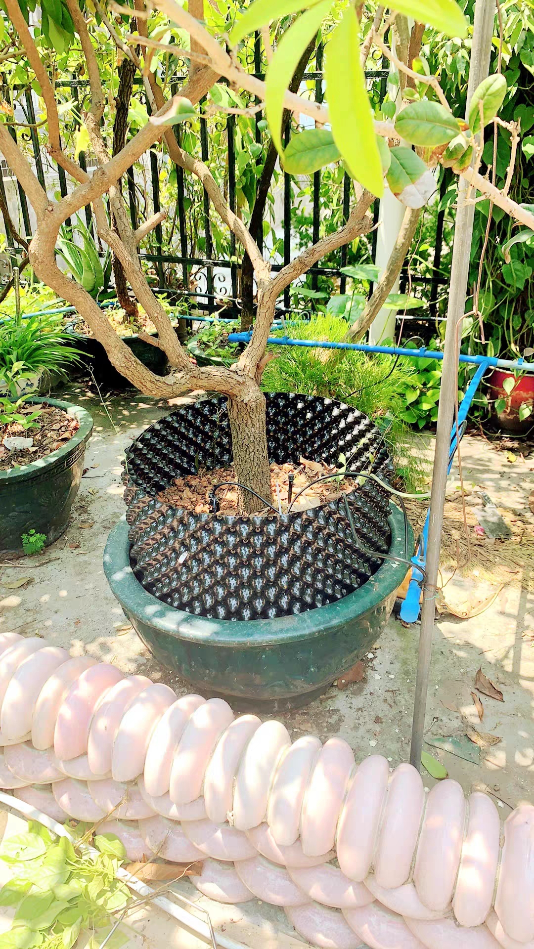 微信圖片_20260302214024_90_24.jpg 微信圖片_20260302214024_90_24.jpg