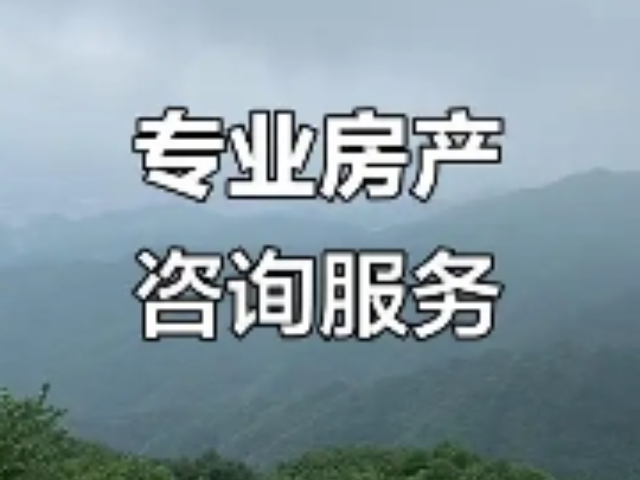 玄武區(qū)管理房地產(chǎn)咨詢