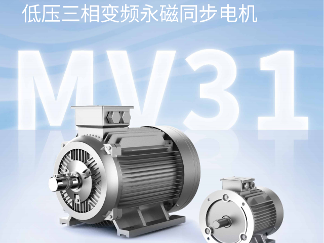 高性能永磁電機(jī)國(guó)內(nèi),永磁電機(jī)