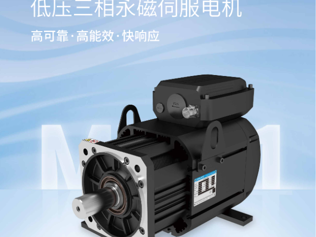 河南高性能永磁電機