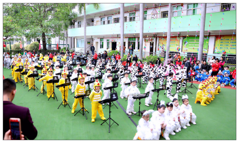 梧州幼兒打擊樂器哪家好,幼兒打擊樂器