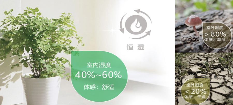 松江區(qū)聯(lián)排別墅改造施工